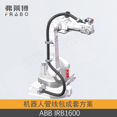 ABB-IRB1600管线包